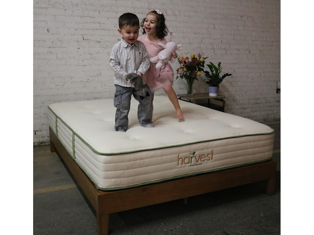 harvest green mattress reviews